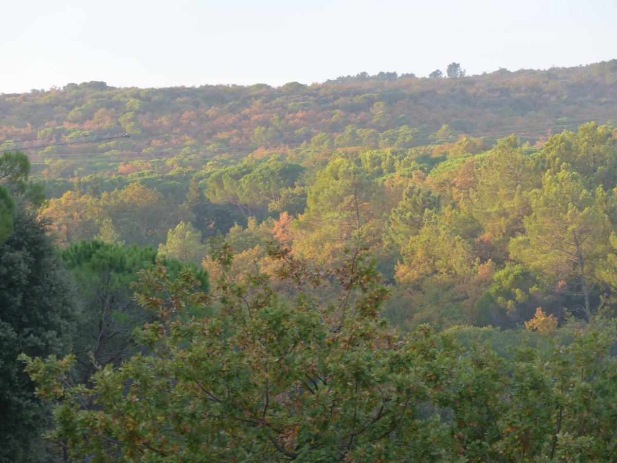 Gite Du Soleil 로쉬귀드 외부 사진